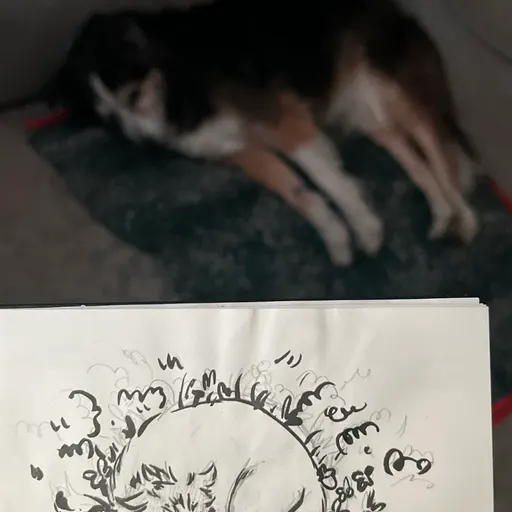 A quick boi sketch